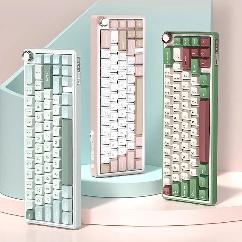 RK RKR65 Tri-mode Mechanical Gaming Keyboard with Knob Hot Swappable Gasket Structure 66 keys RGB Yanyu Switch 65% Layout Customized Keyboards
