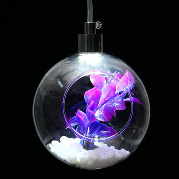 Modern Jar Cup Bulb Sphere Style Glass Plant Ceiling Pendant Light Hanging Lamp For Indoor Decor