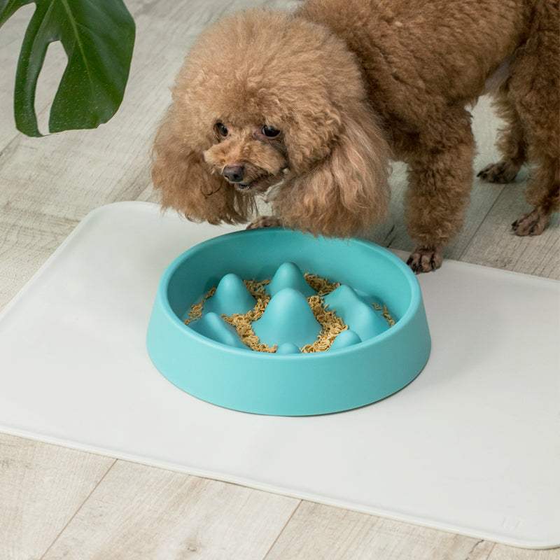 Jordan&Judy JJ-PE0017 Pet Feeding Bowl Stay Healthy Prevent Obesity PP Material Dog Supplier From