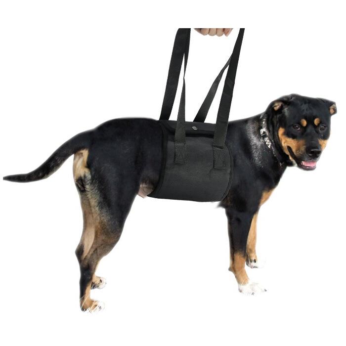Dog Waist Harness Gog Harness Pet Protection Belt Nylon Clasp Protecting Waist Belt Sport Running Leash Pet Dogs Product