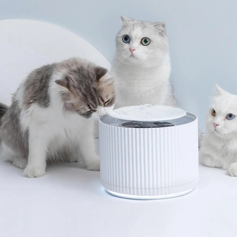 FURRYTAIL Smart Cat Pet Water Dispenser Water Purifier 5 Layer Filter 360 Degree Open Drinking Tray Pet Drinking Fountain From pet smart feeder