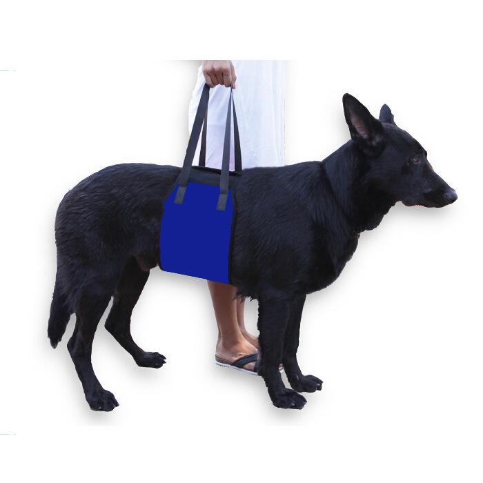 Dog Waist Harness Gog Harness Pet Protection Belt Nylon Clasp Protecting Waist Belt Sport Running Leash Pet Dogs Product