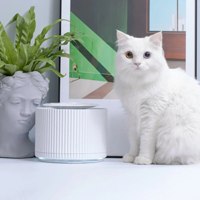 FURRYTAIL Smart Cat Pet Water Dispenser Water Purifier 5 Layer Filter 360 Degree Open Drinking Tray Pet Drinking Fountain From pet smart feeder
