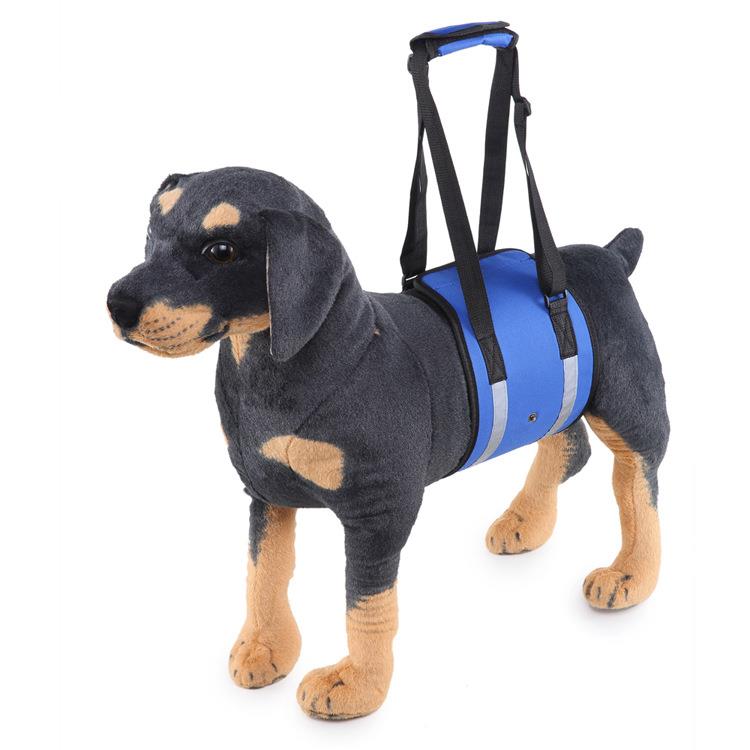 Dog Waist Harness Gog Harness Pet Protection Belt Nylon Clasp Protecting Waist Belt Sport Running Leash Pet Dogs Product