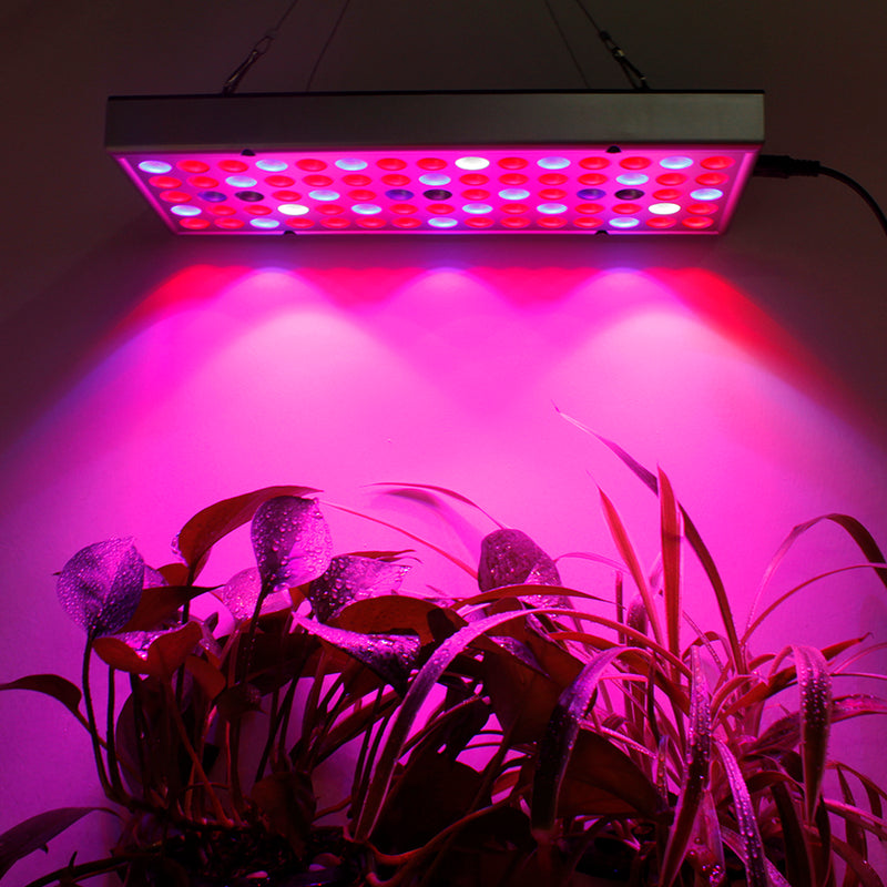 25W 75LED Full Spectrum Plants Growing Lamps 1000lm UV Red Blue White Light Chips for Greenhouse Seeding Cultivation Indoor Flower Bonsai Planting